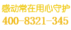 钢王保险柜